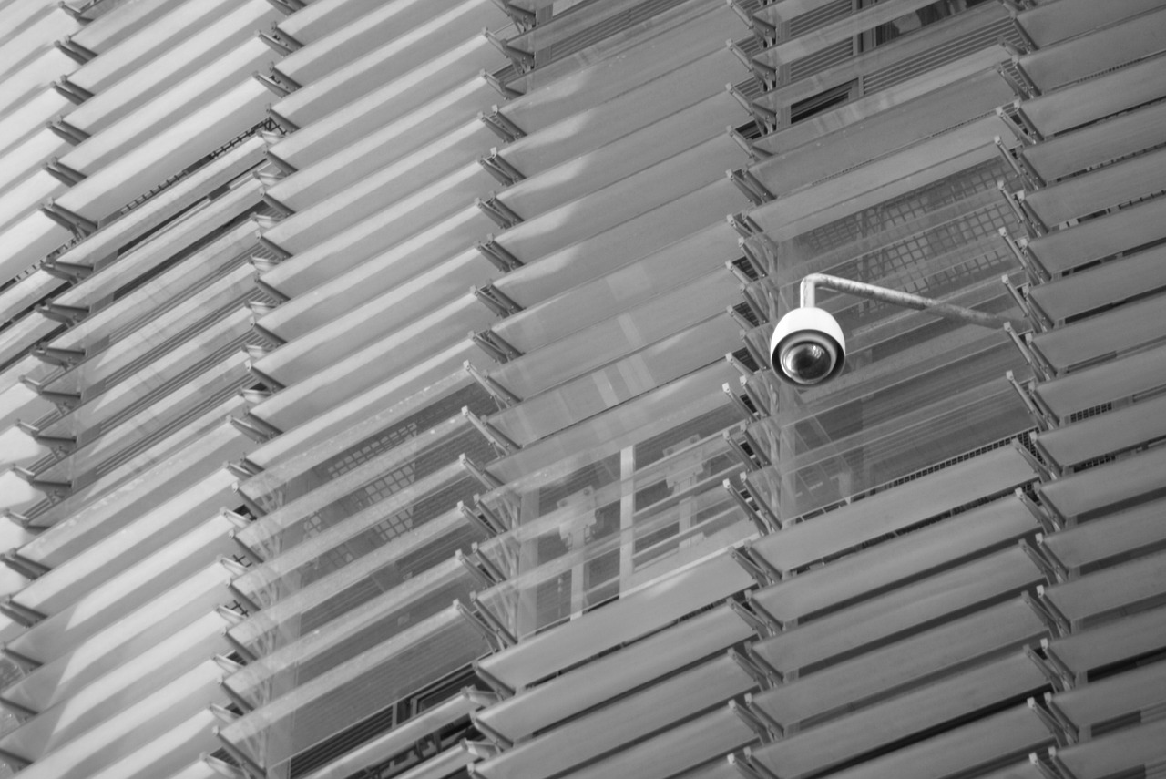 AI and the Future of Autonomous Border Defense